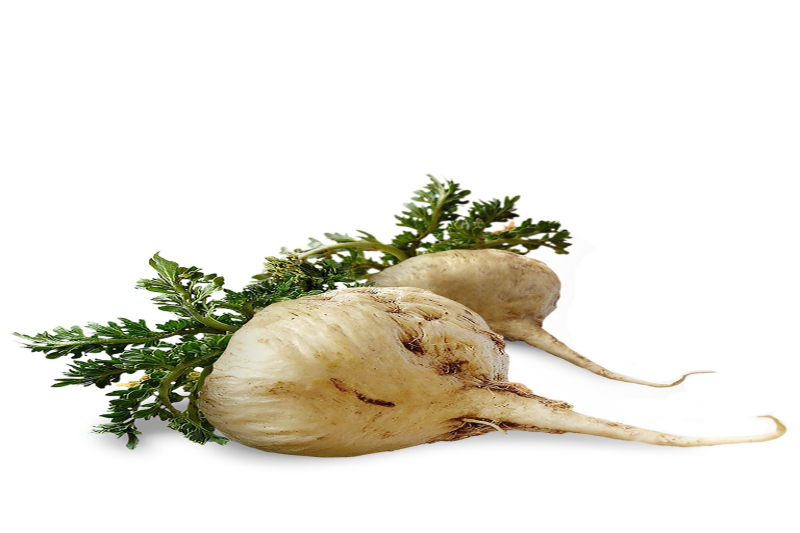 Maca Peruviana - proprietà benefiche ed utilizzo come integrazione