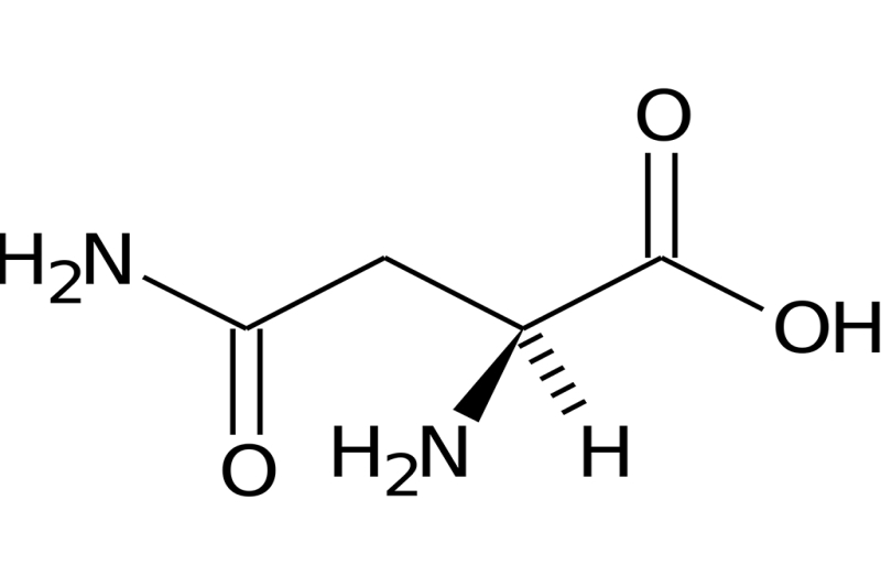 Perché l'arginina viene utilizzata per curare la disfunzione erettile?