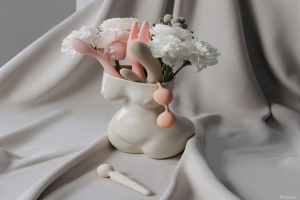 Migliora la tua vita sessuale – prova i giocattoli sessuali per coppie